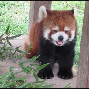 Meet your Posher, Kaoru